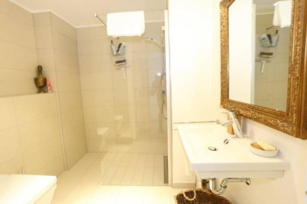 Large Family Retro Flat In City Center- Large Terrace & Garden View, Free Parking Lussemburgo Esterno foto