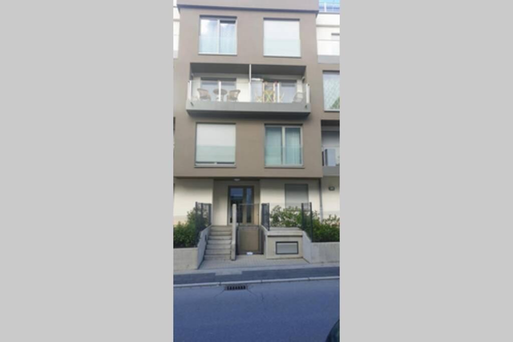 Large Family Retro Flat In City Center- Large Terrace & Garden View, Free Parking Lussemburgo Esterno foto